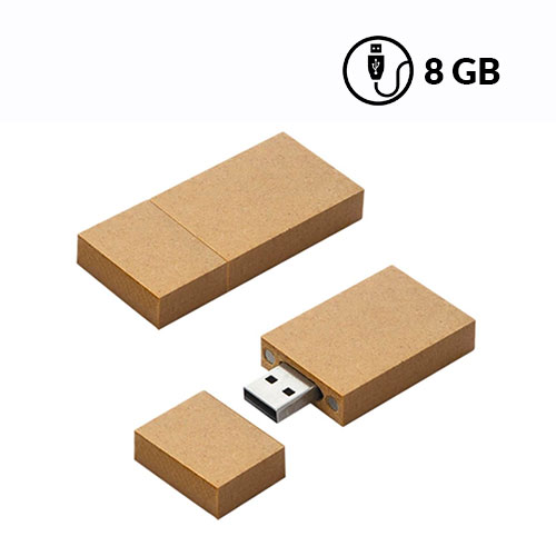  Memoria usb cartÓn
