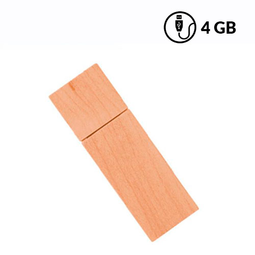  Memoria usb enfermera